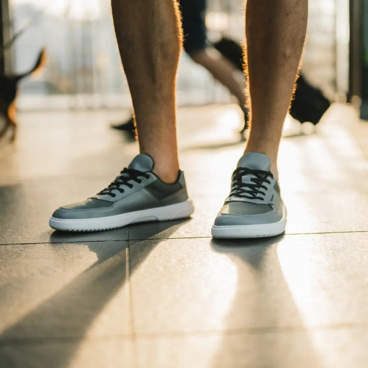 Barfußschuhe Barebarics Bravo - Grau & Weiß