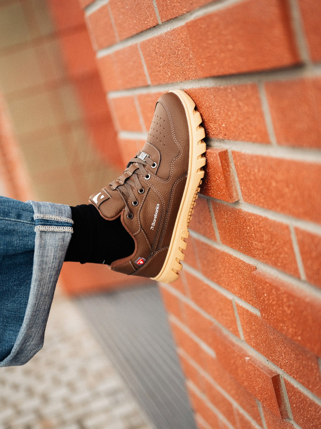 Barefoot Sneakers Barebarics Zing Frost - Dark Brown