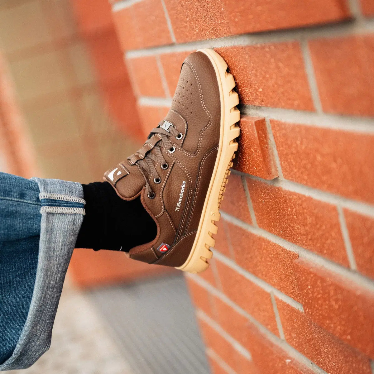 Barefoot Sneakers Barebarics Zing Frost - Dark Brown