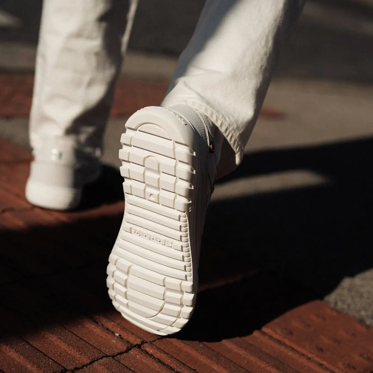 Barefoot Sneakers Barebarics Zing Frost - Light Grey & White