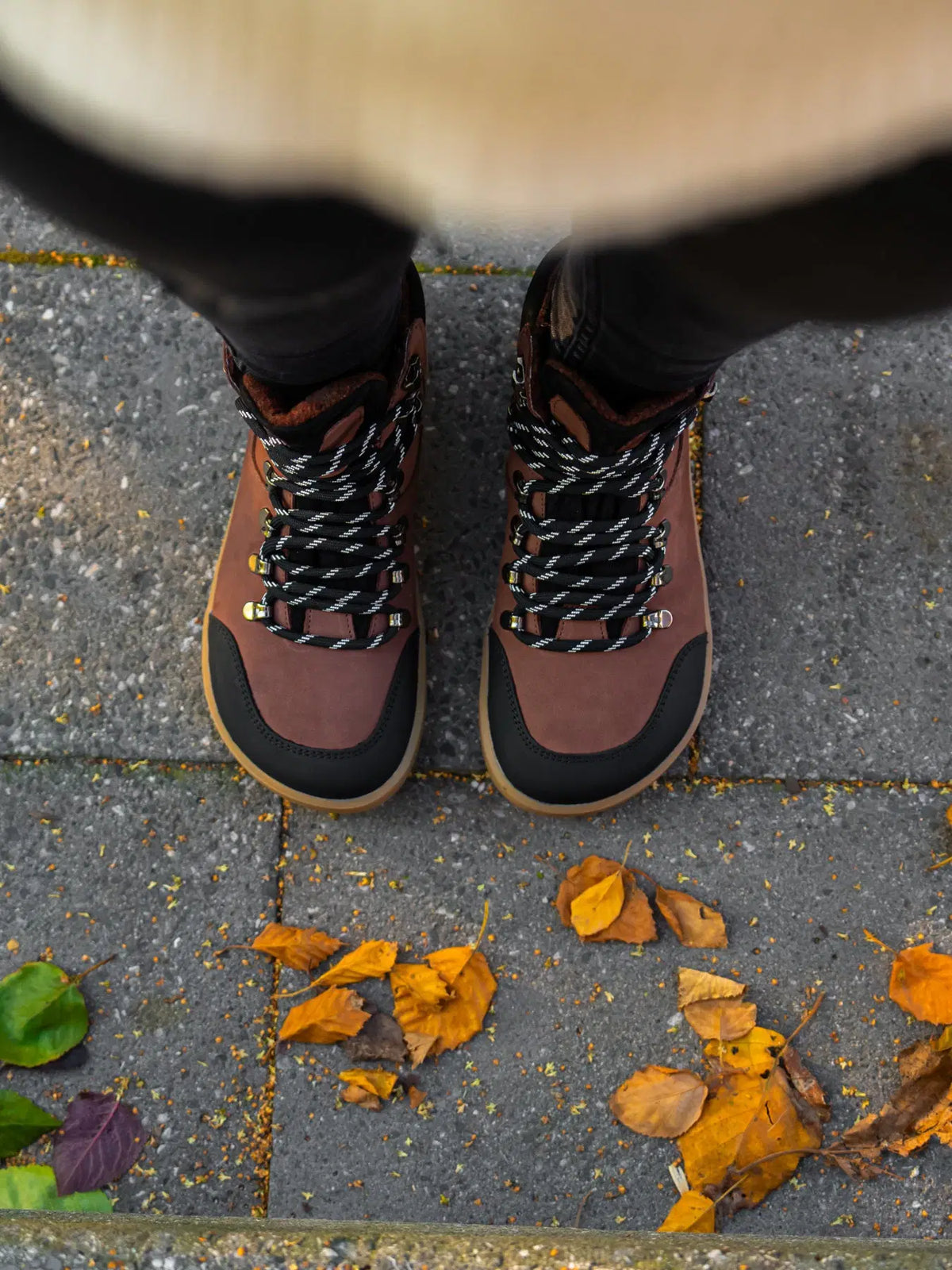 Barefoot Shoes Be Lenka Ranger 2.0 - Dark Brown