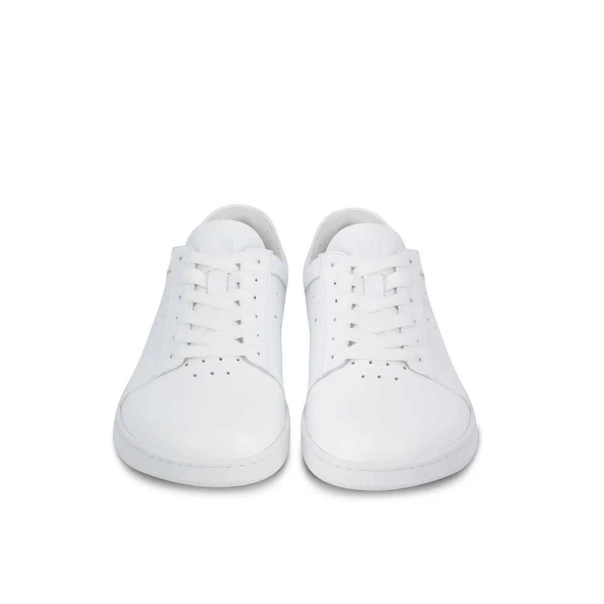 Barefoot Sneakers Barebarics Enigma - All White